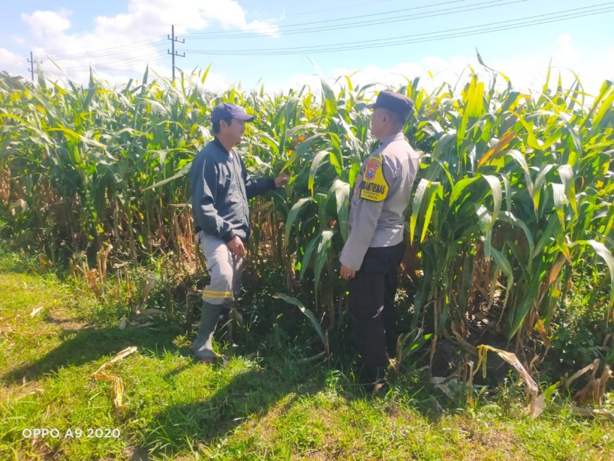 Polres Malang Gencarkan Pendampingan Warga untuk Memperkuat Ketahanan Pangan Nasional